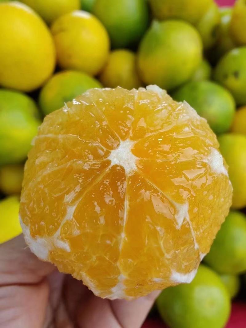 正宗澄迈富硒福橙果粒饱满皮薄多汁味美甘甜果地直发