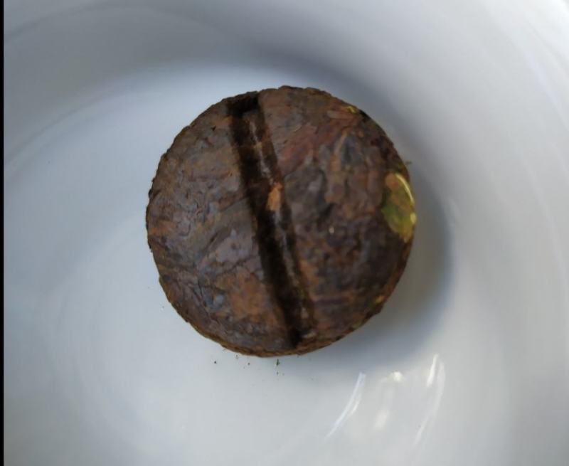 茶鼎房普洱茶云南糯米香茶鼎房普洱茶鼎房熟茶牛皮纸糯米香茶