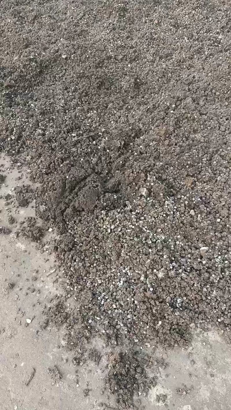 羊粪蛋发酵腐熟全国接单欢迎咨询