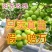 【基地优先】葡萄苗阳光玫瑰葡萄苗保纯度保成活率