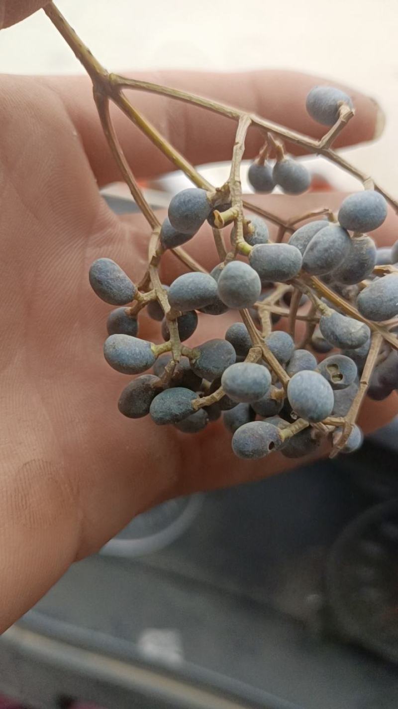 需要的联系，货量多多