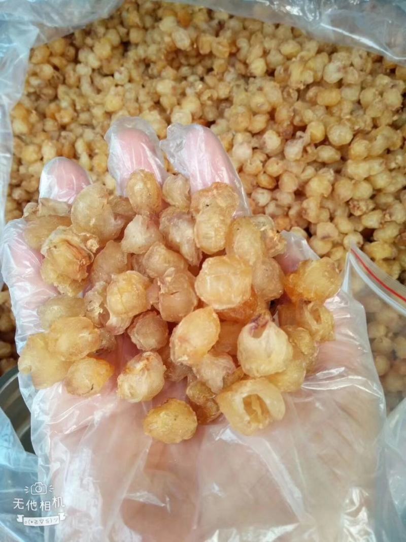 大新石硖桂圆肉广东高州桂圆肉广西博白桂圆肉产地