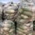 【推荐】白萝卜芥菜疙瘩工厂品质基地直供量大从优欢迎咨询
