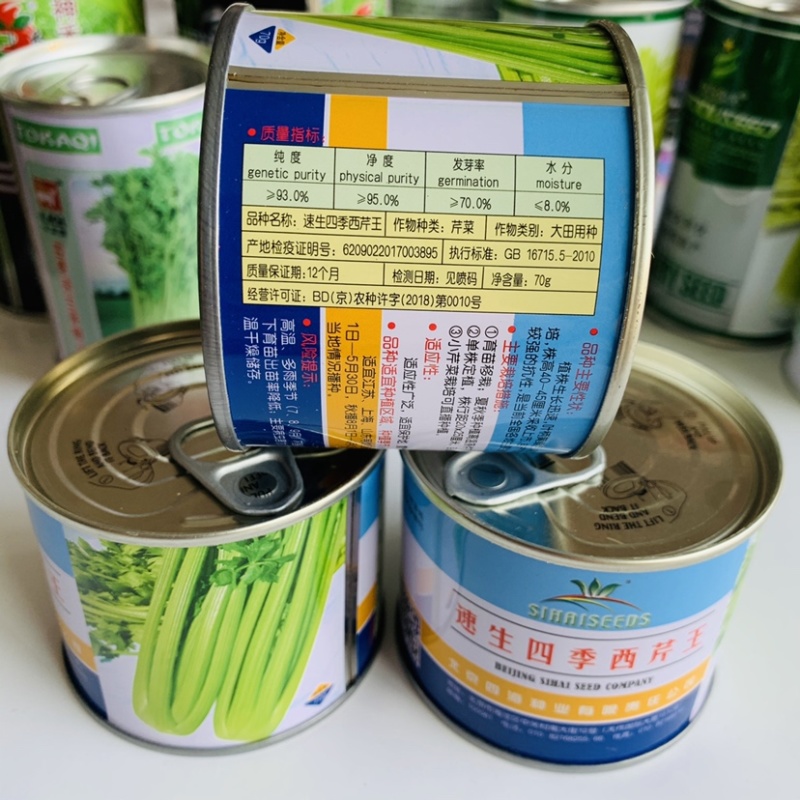 速生四季西芹王种子叶柄黄绿色口感清香可做小芹菜西芹种子