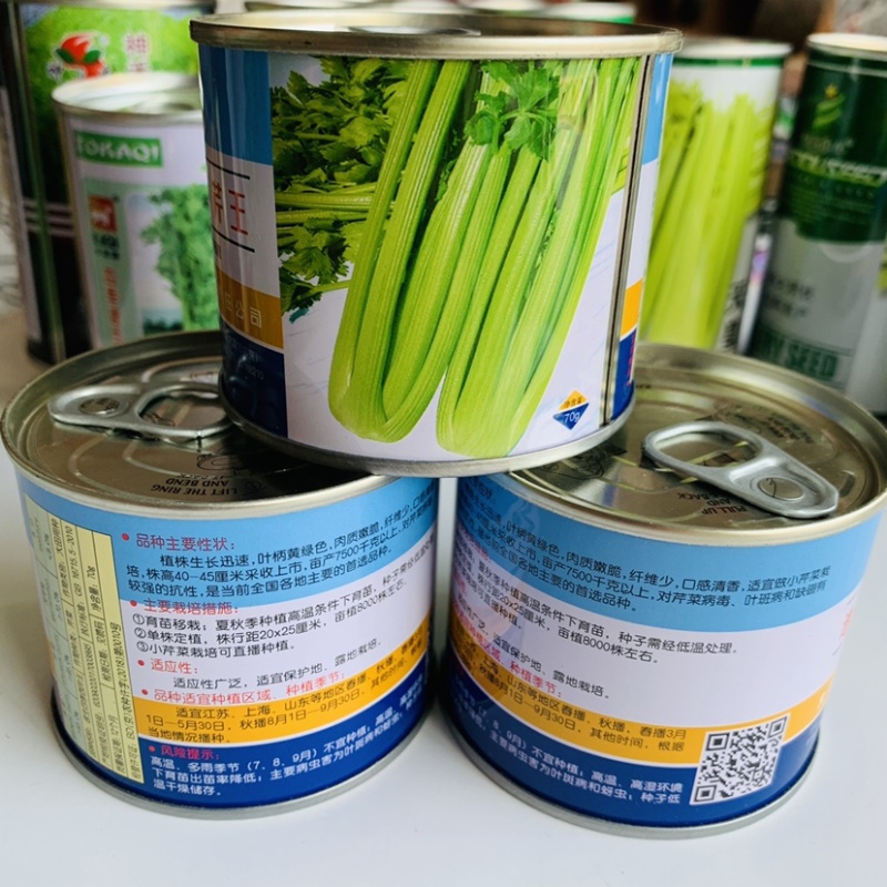 速生四季西芹王种子叶柄黄绿色口感清香可做小芹菜西芹种子