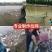拉网拖网捕鱼网围网拉鱼网刮网池塘养殖拉网清塘网
