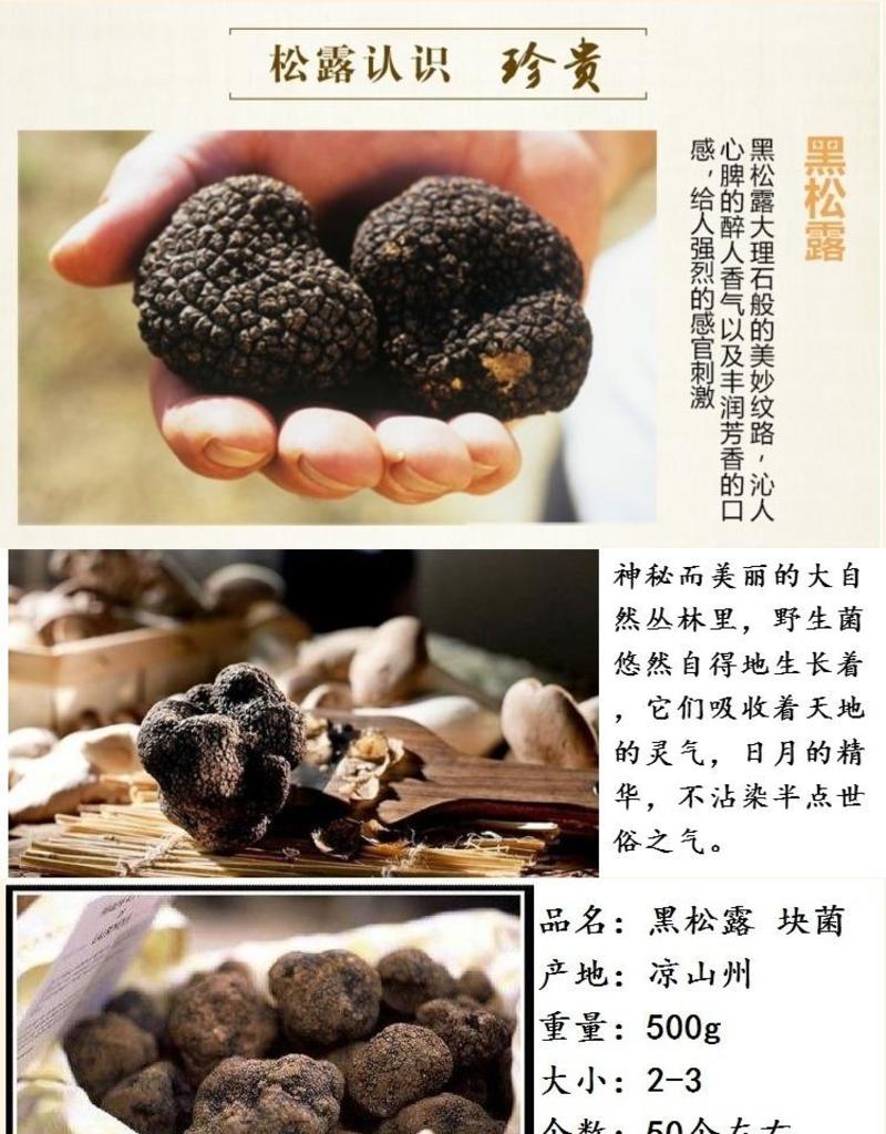 新鲜食用菌攀枝花3～5黑松露菌块菌500g野生特级顺丰包