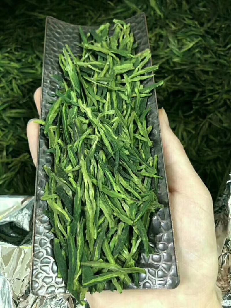 龙井500克