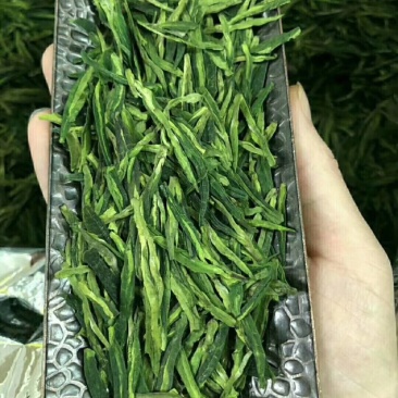 龙井500克
