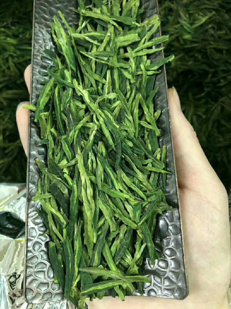 龙井500克