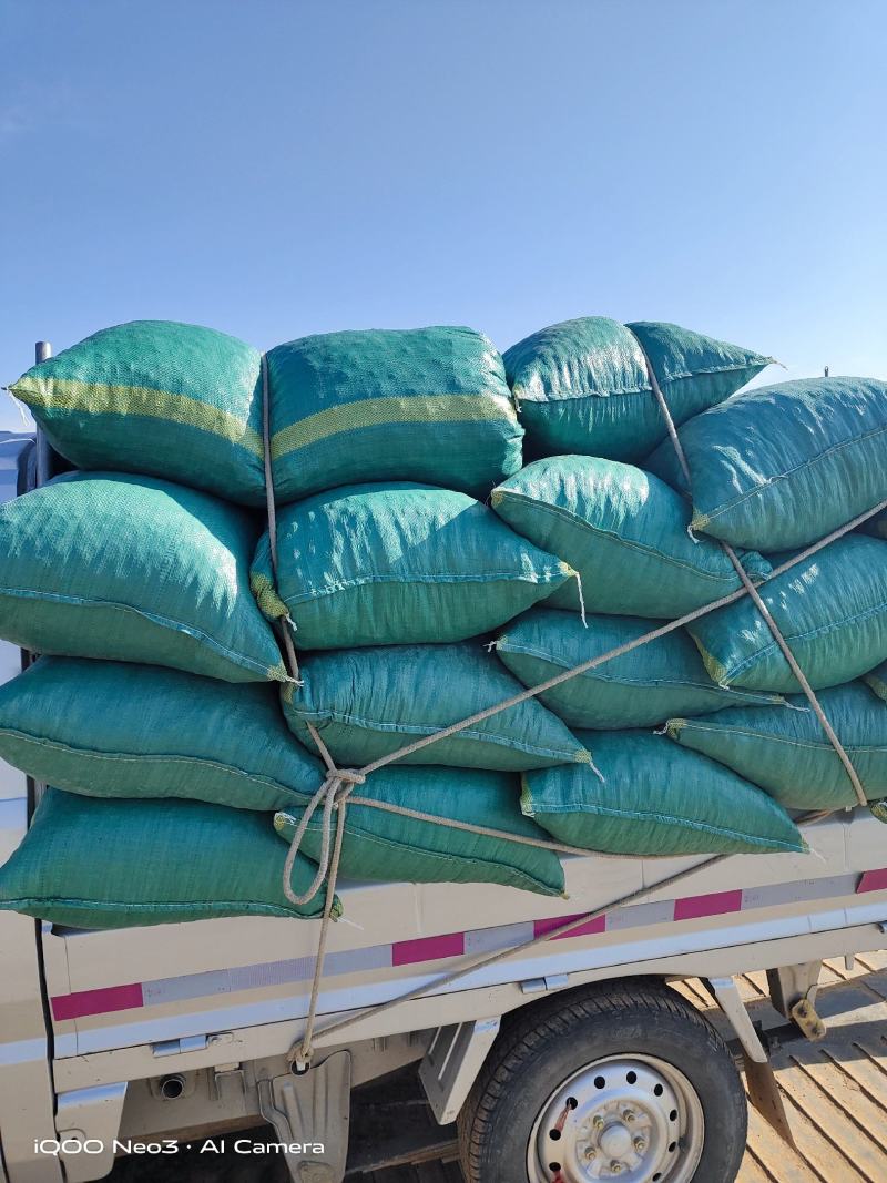 干枣泡茶熬粥市场批发加工用枣