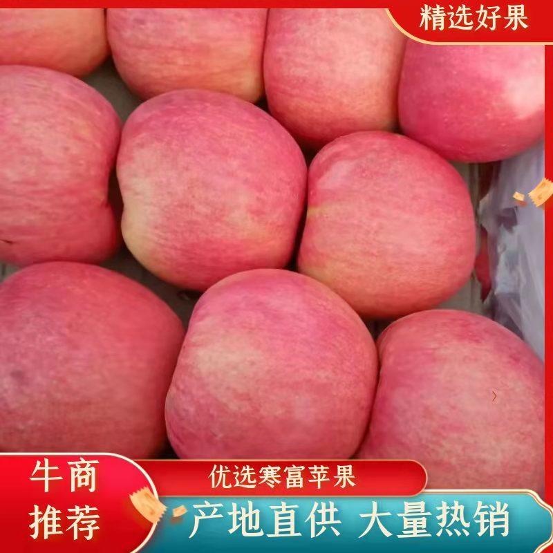 #现场实拍#辽宁绥中县寒富苹果，口感脆甜，品质保障，欢迎批发