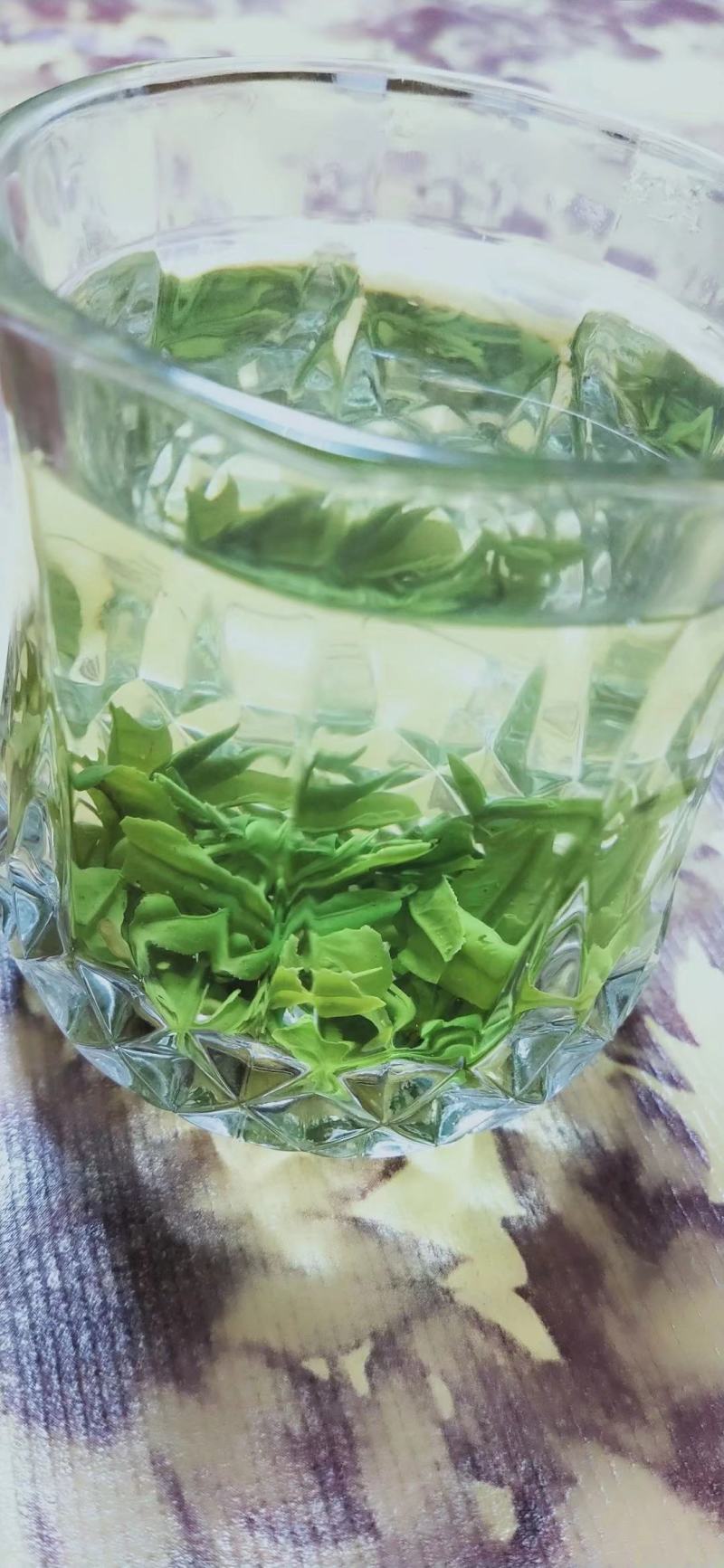 高山云雾茶