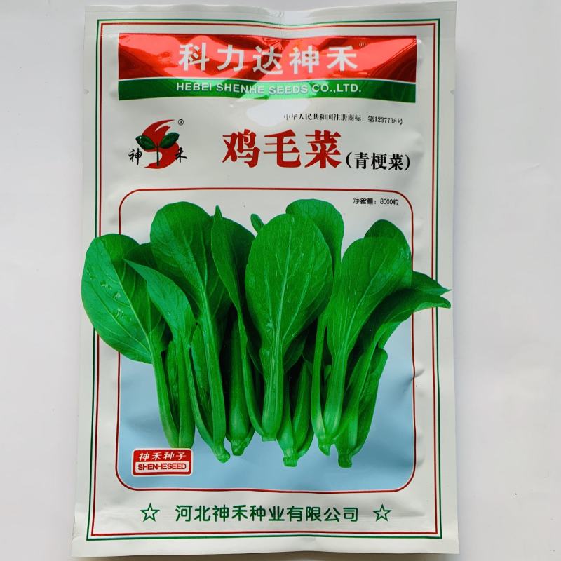神禾鸡毛菜青梗菜种子耐热耐寒耐湿生长期短小青菜种籽