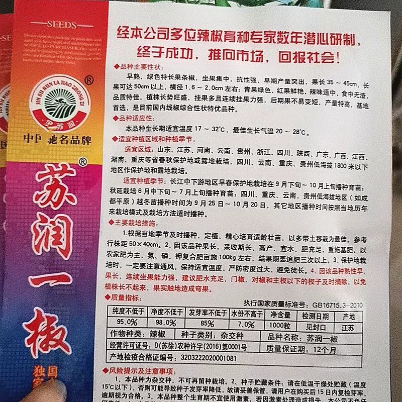 苏润一椒辣椒种子，挂果多且连续挂果力强，后期果不易变短，