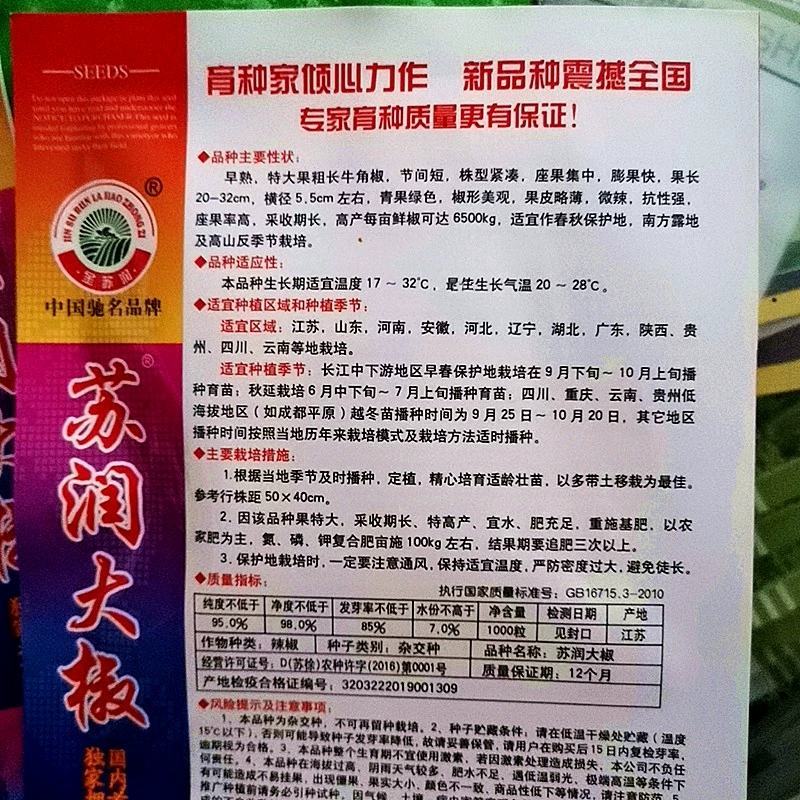 苏润一椒辣椒种子，挂果多且连续挂果力强，后期果不易变短，