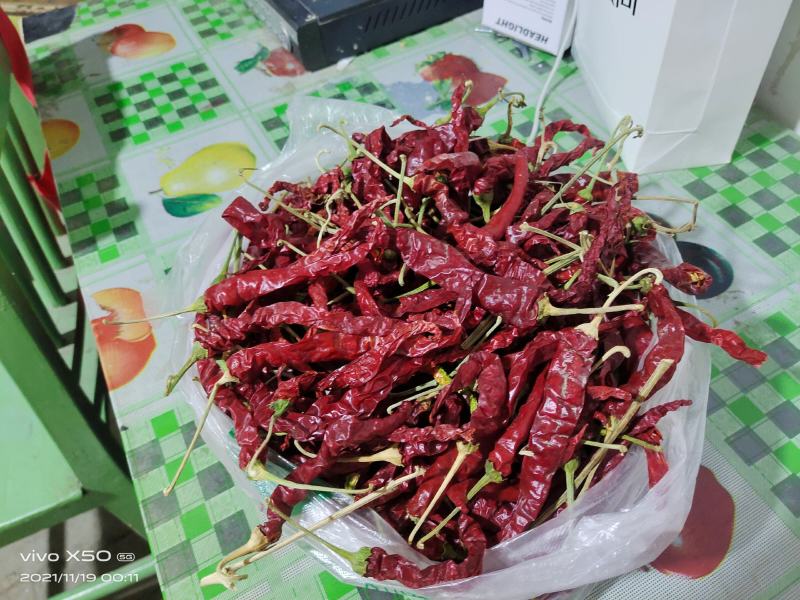 新疆农户一手线椒机采毛货，产地直发，保质保量，可代加工