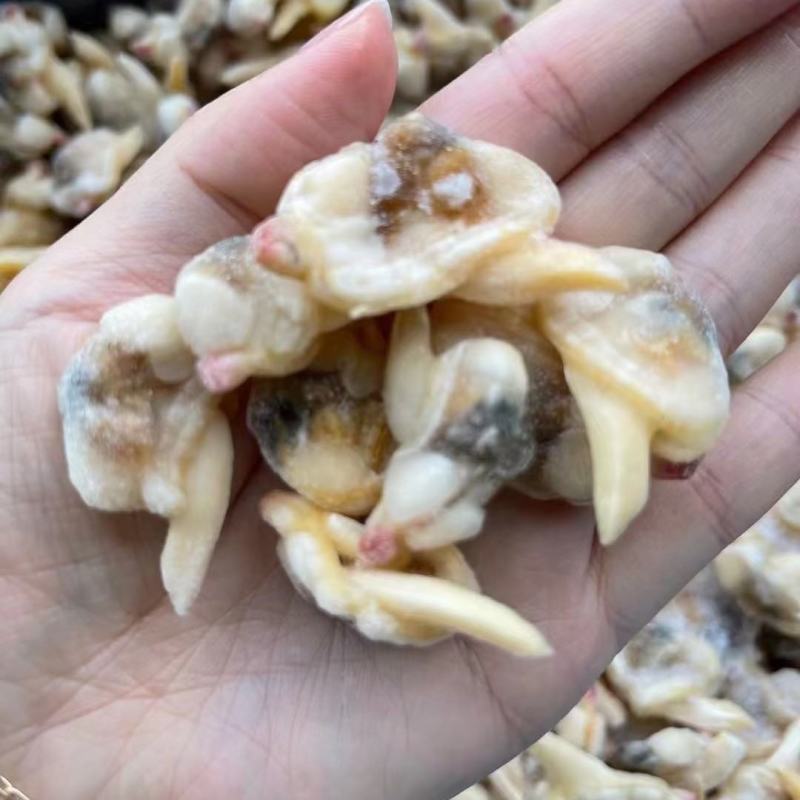 黄蚬子即食黄蚬子东港黄蚬子即食黄蚬子开袋无沙即食黄蚬子