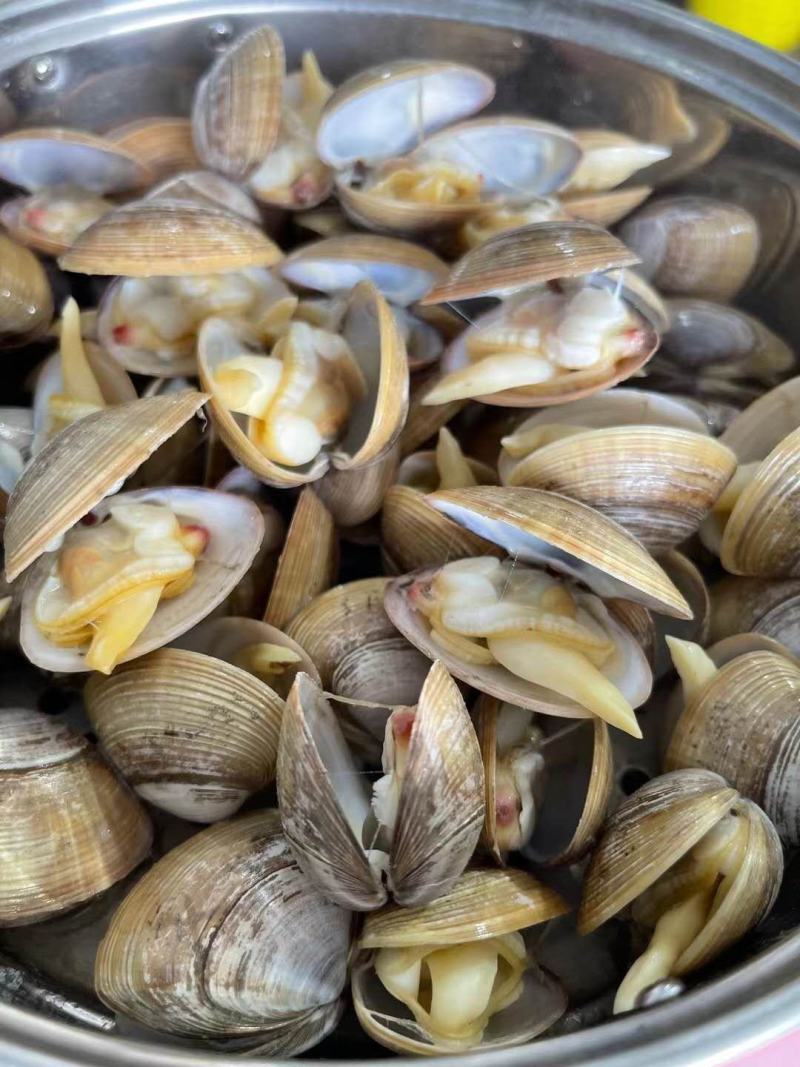 黄蚬子即食黄蚬子东港黄蚬子即食黄蚬子开袋无沙即食黄蚬子