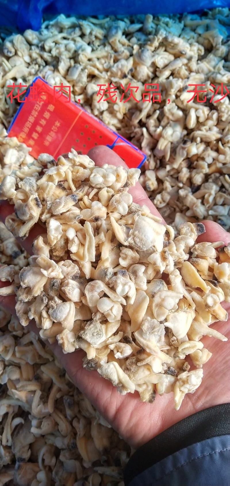 黄蚬子即食黄蚬子东港黄蚬子即食黄蚬子开袋无沙即食黄蚬子