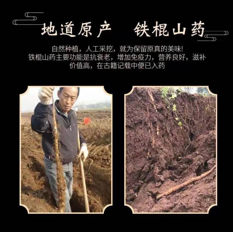 山药粉条、基地直供、回头客高大小包装都能做欢迎联系