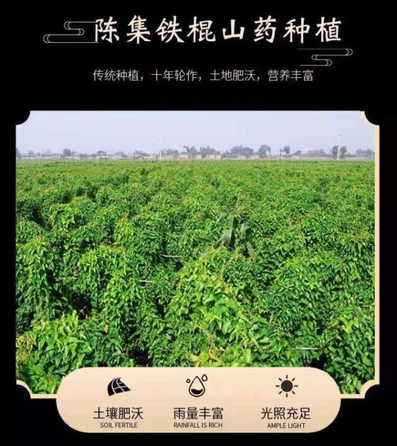 山药粉条、基地直供、回头客高大小包装都能做欢迎联系