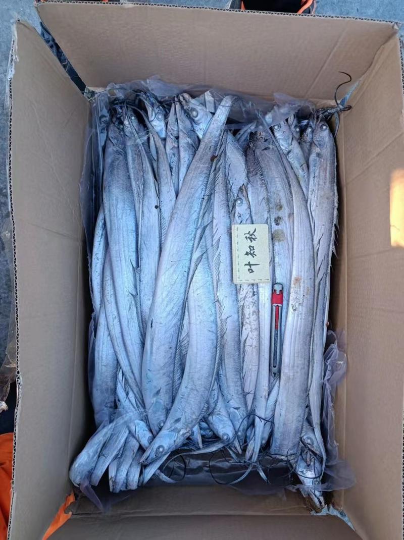 中国对虾大量现货批发走量老板请跟我们联系价格再议厂家一手