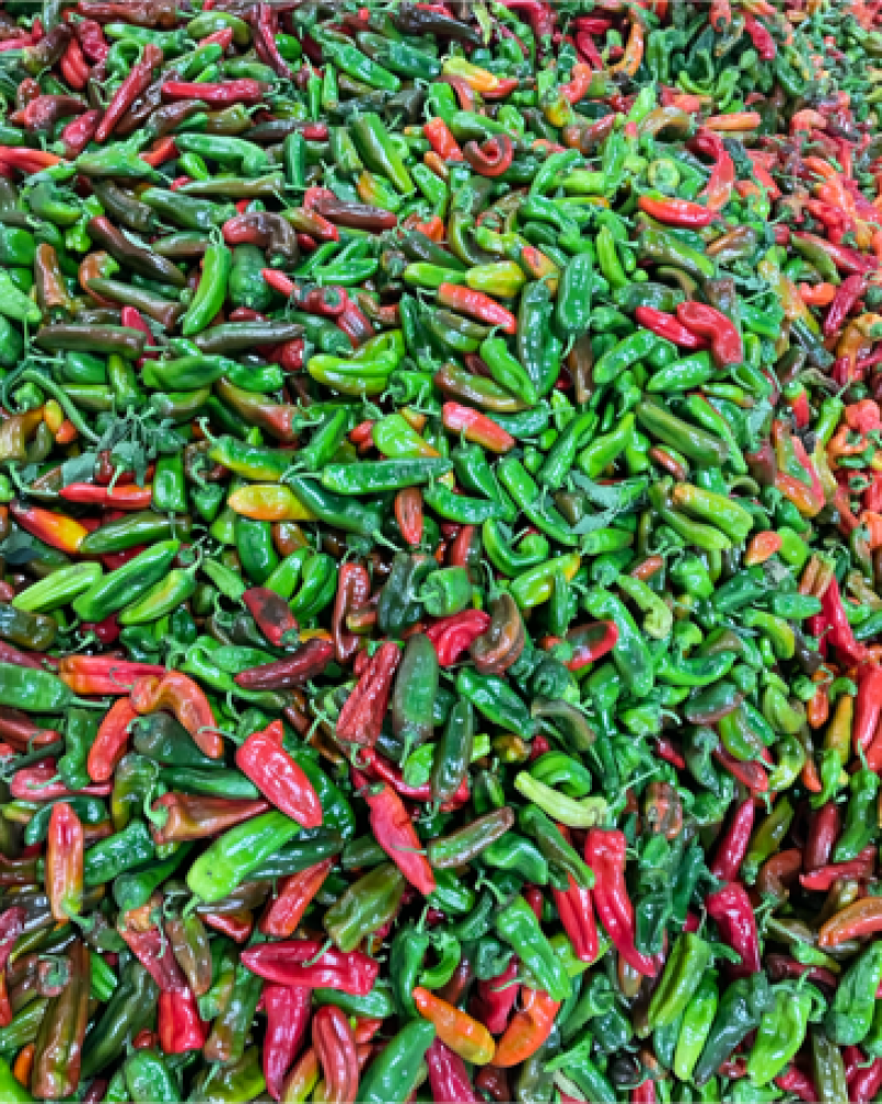 芜湖椒，彩椒花皮椒10-15厘米，条形硬度好欢迎进店选购