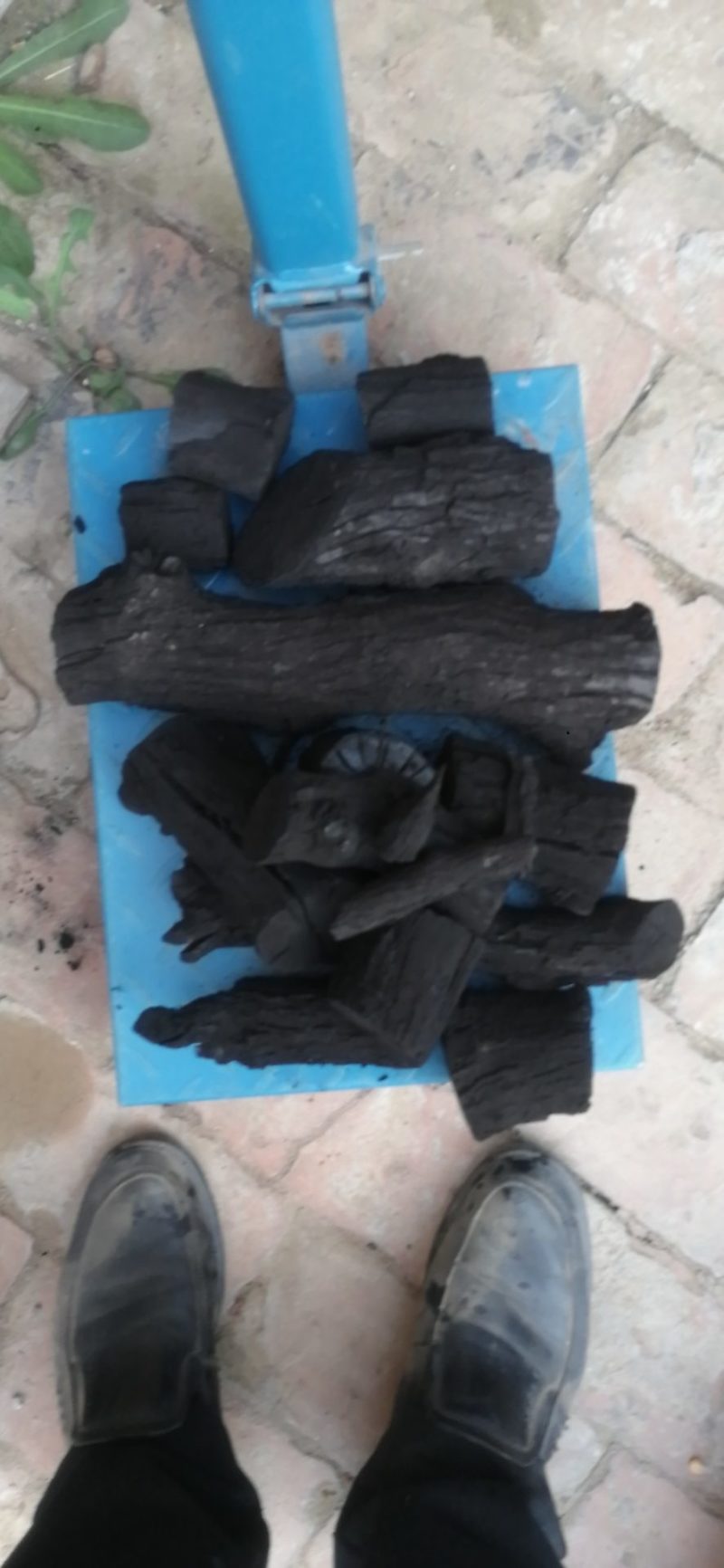 长期供应工业用，取暖用，烧烤用枣木炭，杂木炭，烤鸭鸭柴