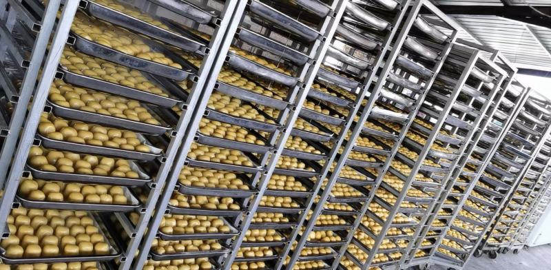 辽宁精品粘豆包品质齐全厂家直发品质保证欢迎家联系