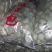 辽宁精品粘豆包品质齐全厂家直发品质保证欢迎家联系