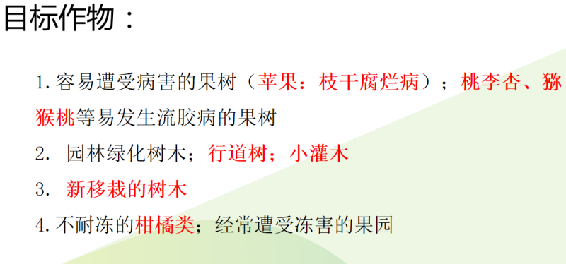 奥丰树干涂白剂防流胶果树腐烂防虫抗冻防日灼果树园树木通用