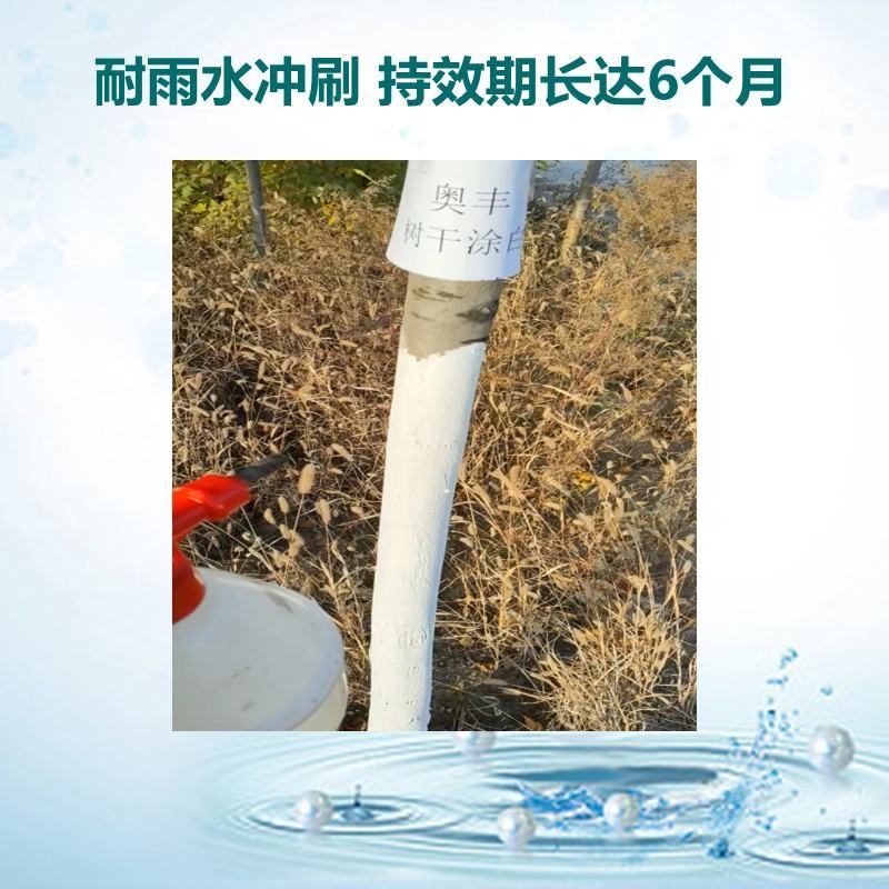 奥丰树干涂白剂防流胶果树腐烂防虫抗冻防日灼果树园树木通用