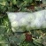 优质包菜大量供应，品质有保证。有需求的老板请联系