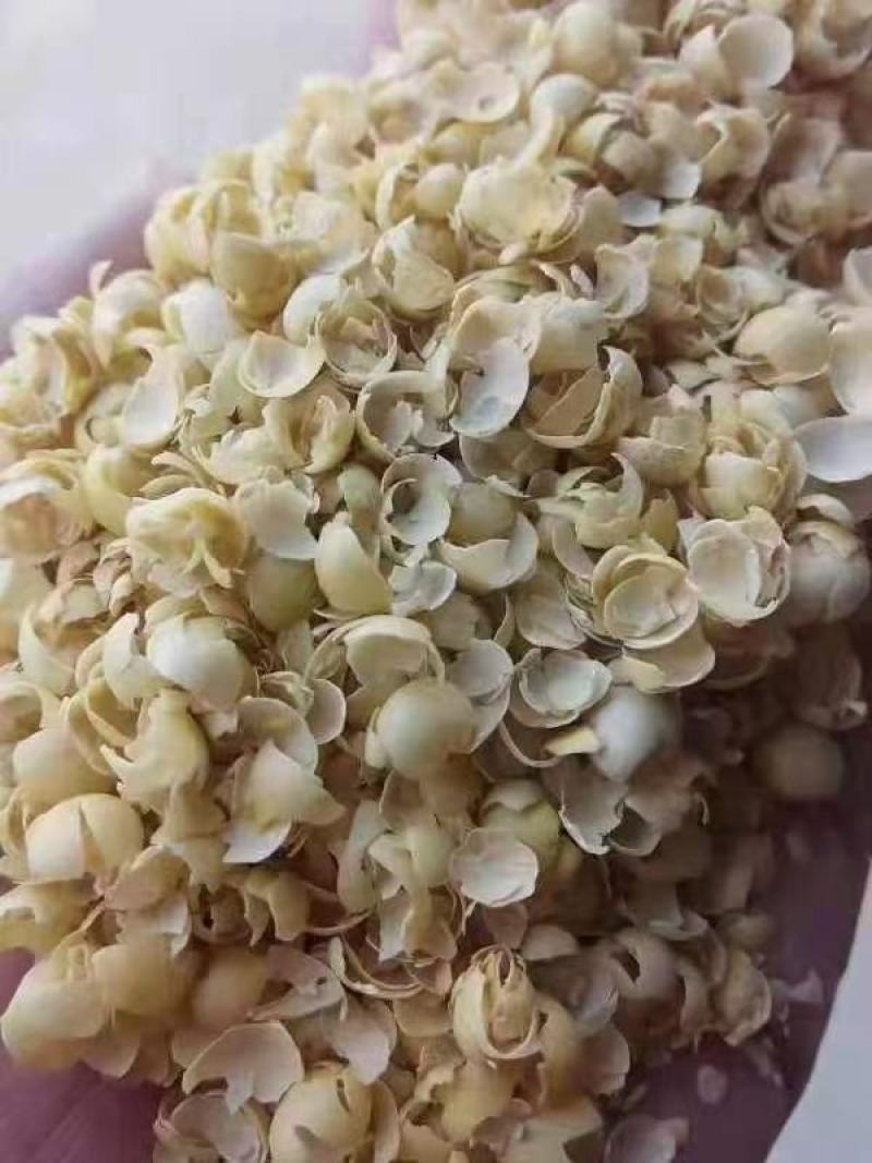 豆壳