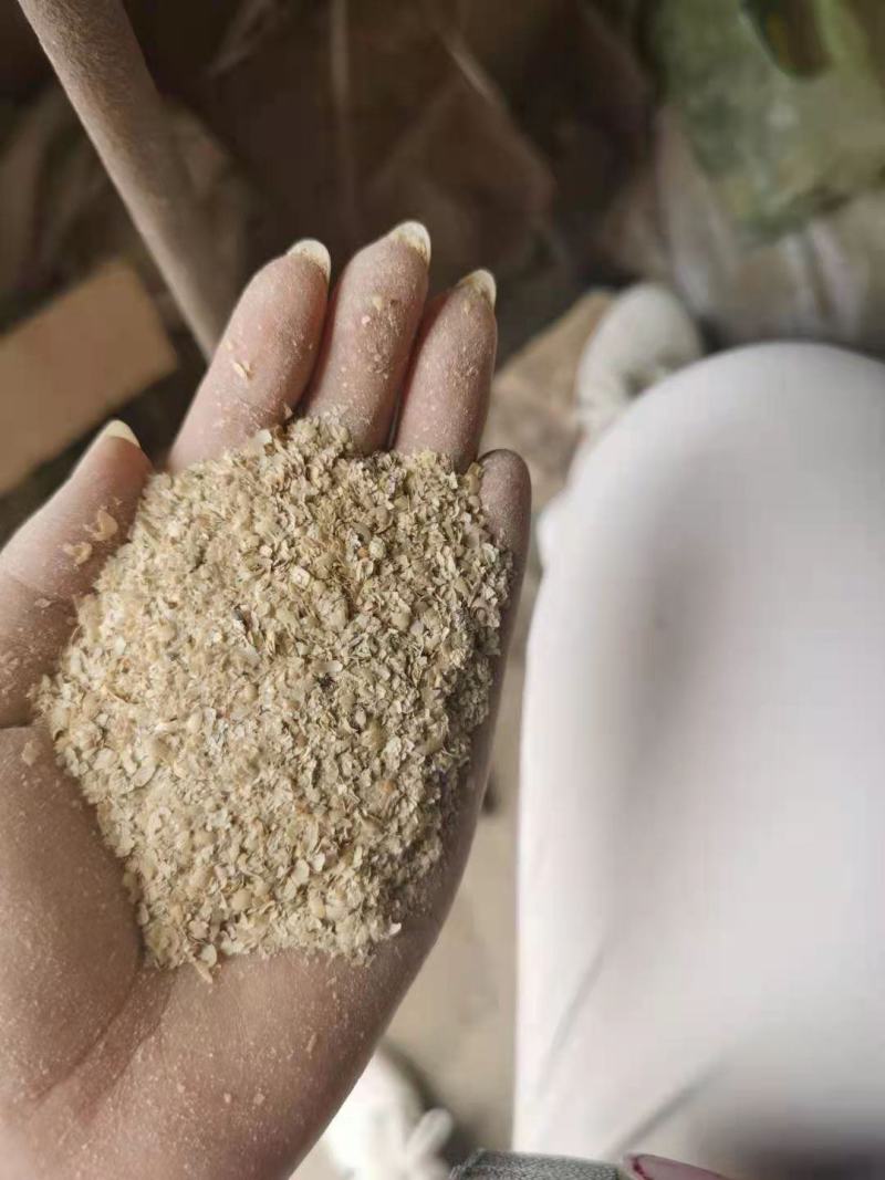 豆壳