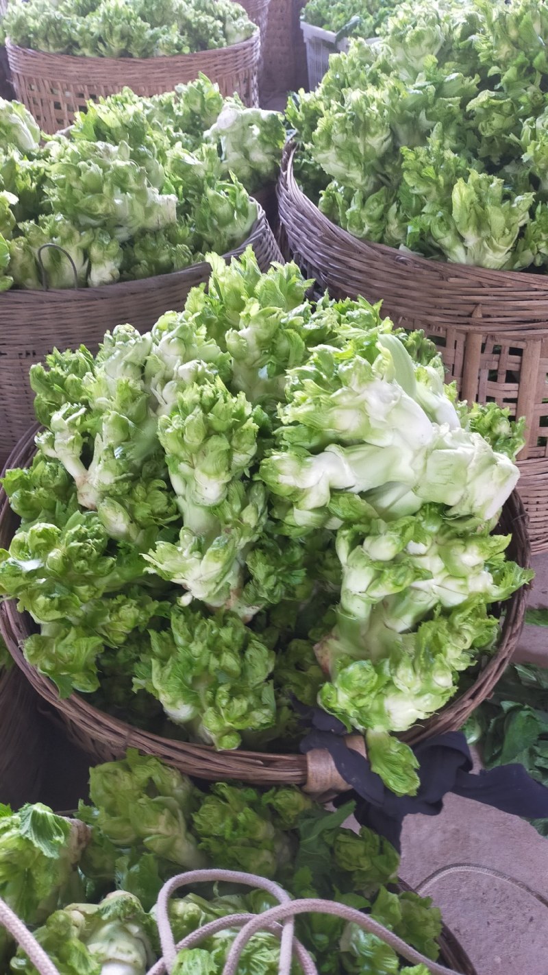 儿菜