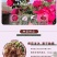 50棵起订云南浓香滇红、墨红、大马士革食用玫瑰苗四季开花