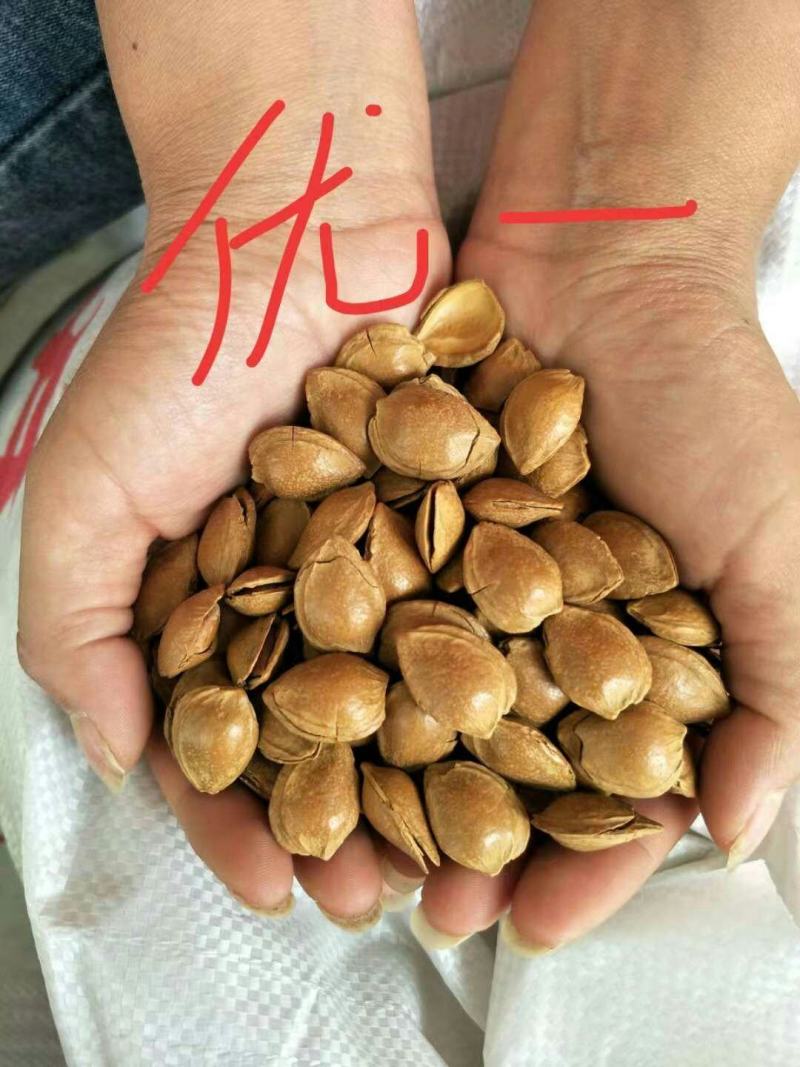 杏仁粉开水一冲就可以喝的，2020年新加工