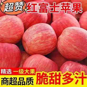 【低价优选】山东临沂红富士苹果新鲜应季水果现摘批发价量大