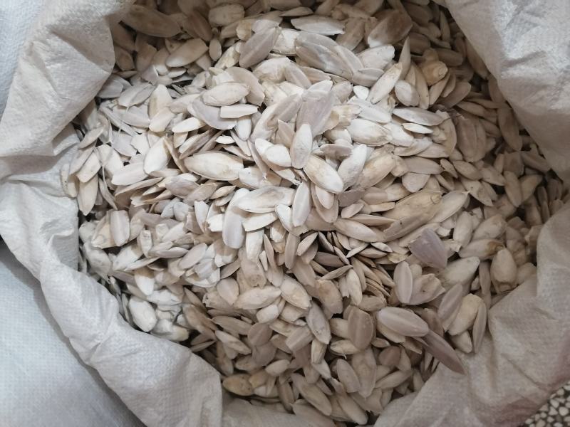 海螵蛸批发零售各种规格中药材各种规格