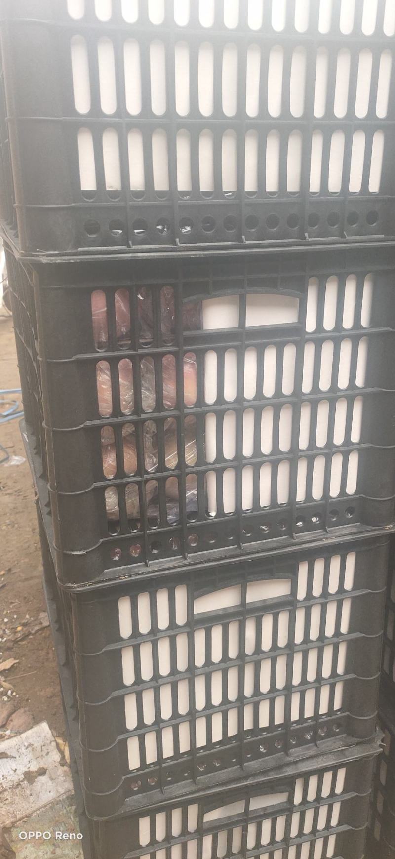 冰糖心苹果，膜袋红富士苹果，对接电商，产地直发便宜苹果