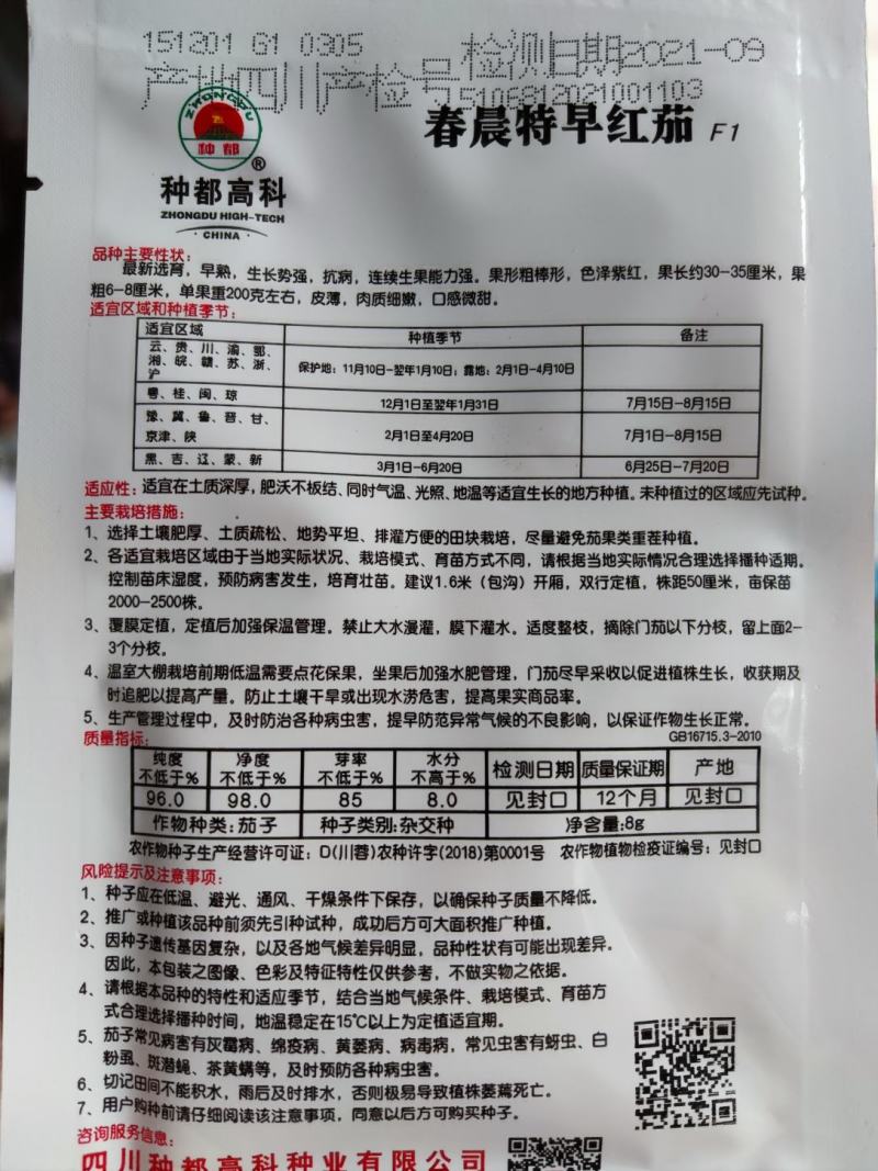 春晨特早红茄茄子种子，连续座果色泽紫红！