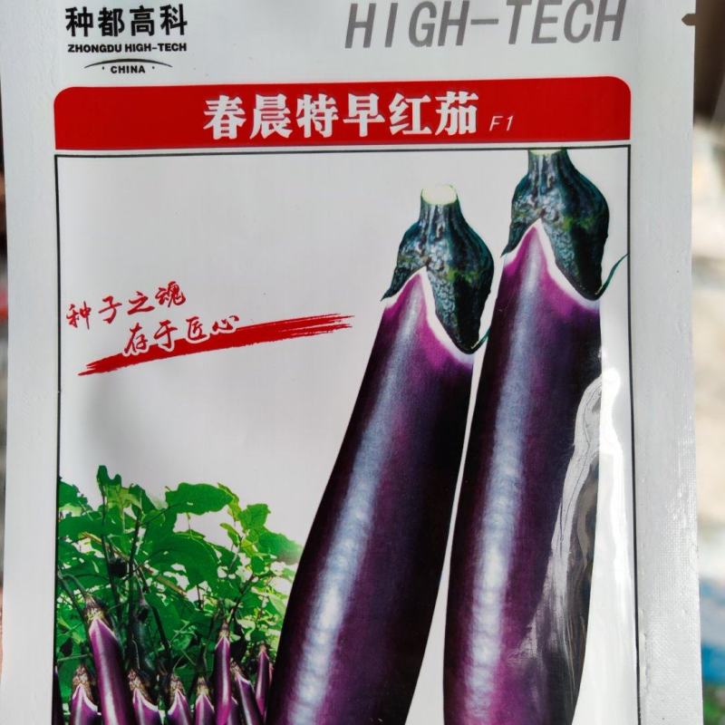 春晨特早红茄茄子种子，连续座果色泽紫红！