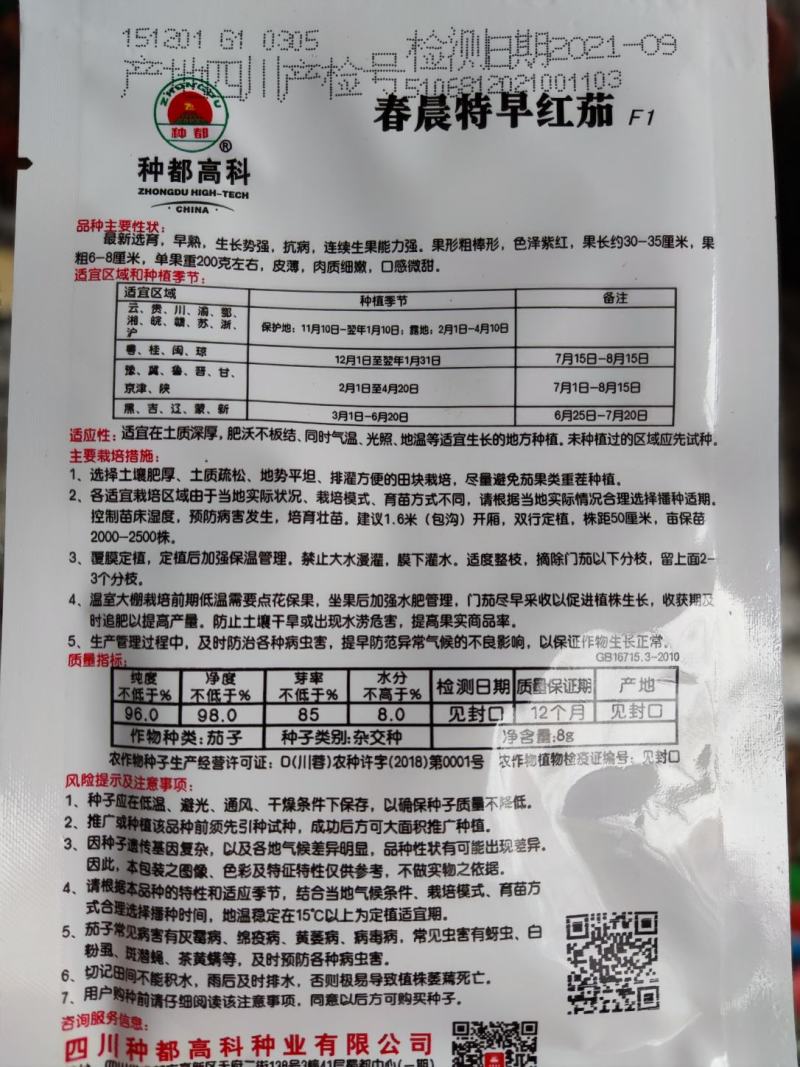 春晨特早红茄茄子种子，连续座果色泽紫红！