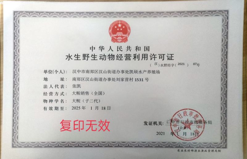 仿生态养殖娃娃鱼手续齐全，每天下午5点前下单的当天全发走