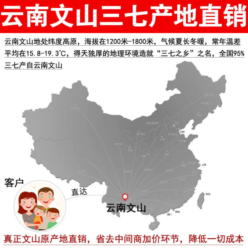 云南文山正品40三七头三七个田七三七粉云南三七整棵
