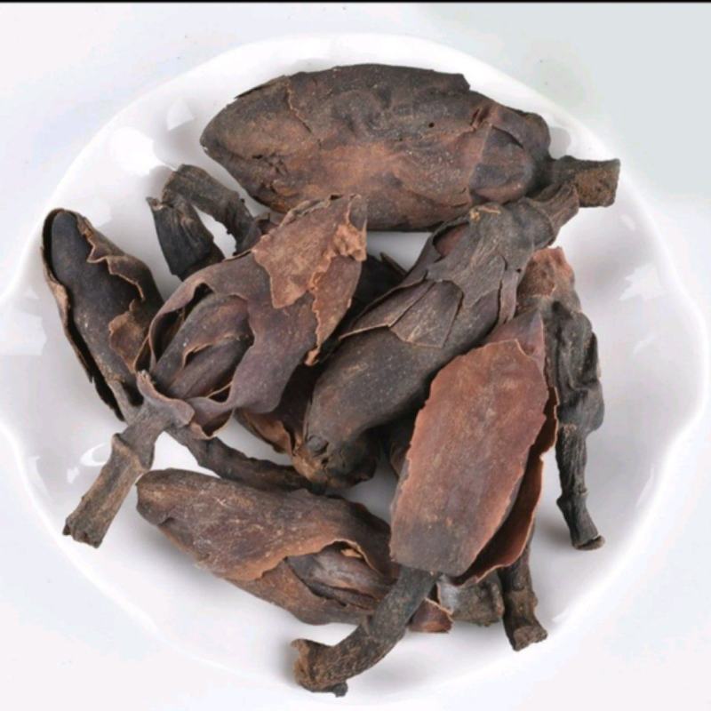 厚朴花统装500g产地四川振兴药材购销站量大从优