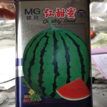 红甜蜜特大优质西瓜种子，易坐果，皮绿，瓤色大红，皮薄坚韧