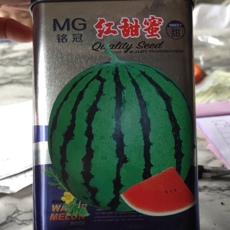 红甜蜜特大优质西瓜种子，易坐果，皮绿，瓤色大红，皮薄坚韧